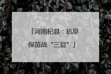 河南杞县：抗旱保苗战“三夏”